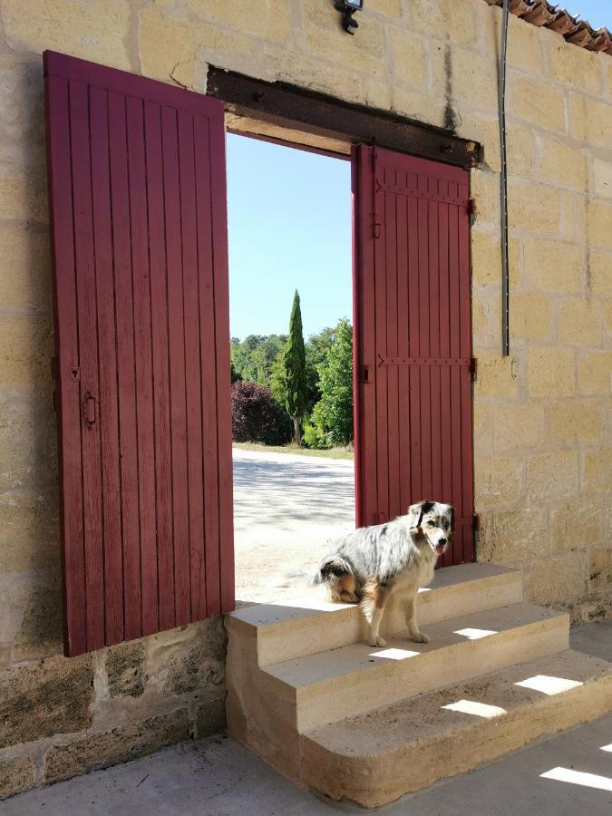 Gite De Charme Au Coeur De L'Entre-Deux-Mers Haux  Zewnętrze zdjęcie